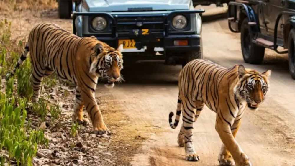 Rajasthan News 02 1.jpg