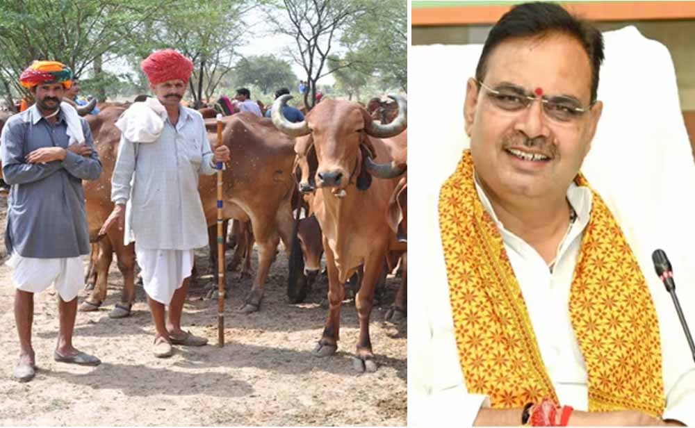 Rajasthan News 02 3 8.jpg