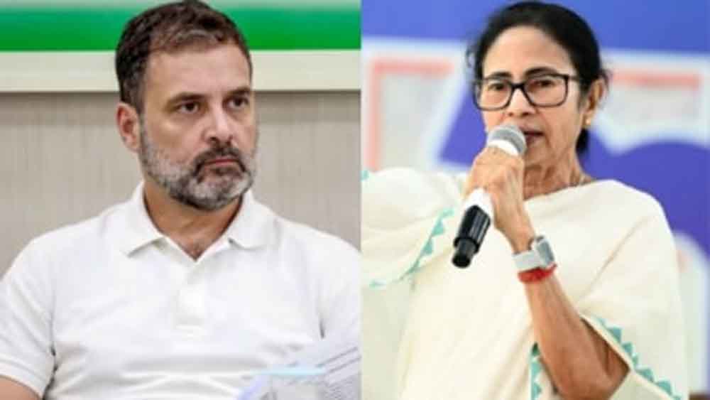 Mamta 2.jpg