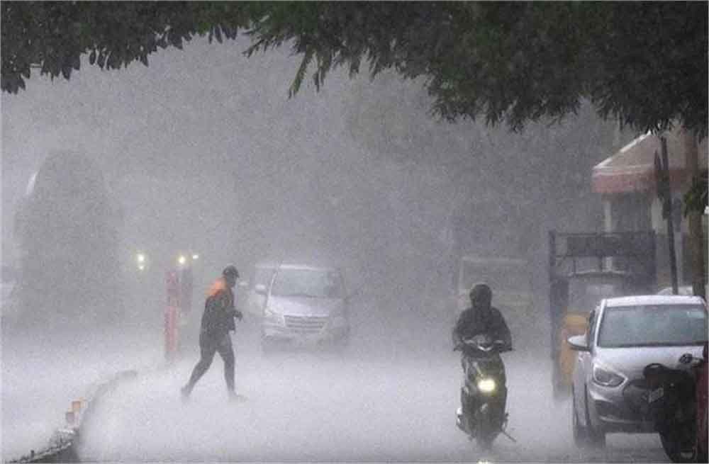 Rain senofull.jpg
