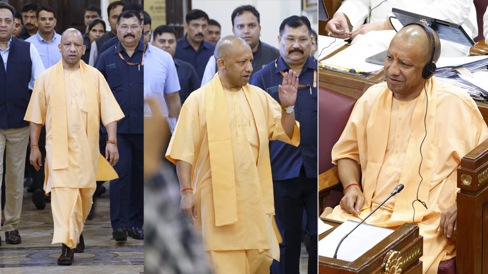 Yogi A 102.jpg