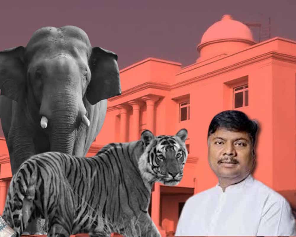 Chhattisgarh News 06 1 2.jpg