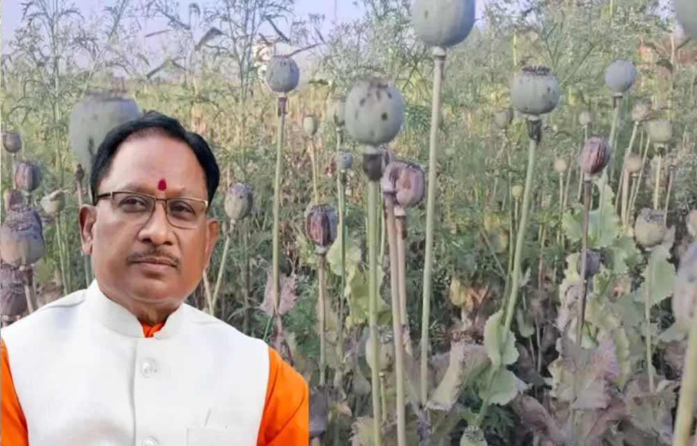 Chhattisgarh News 07 1 9.jpg