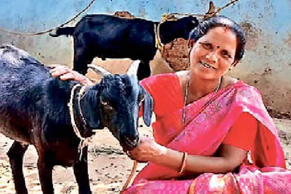 Jharkhand News 03 2 2.jpg