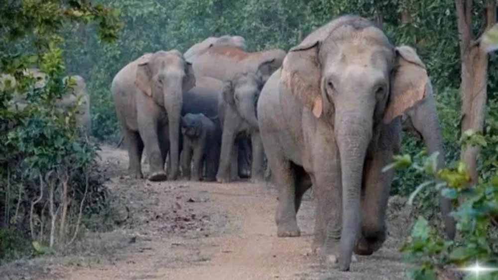 Jharkhand News 03 2.jpg