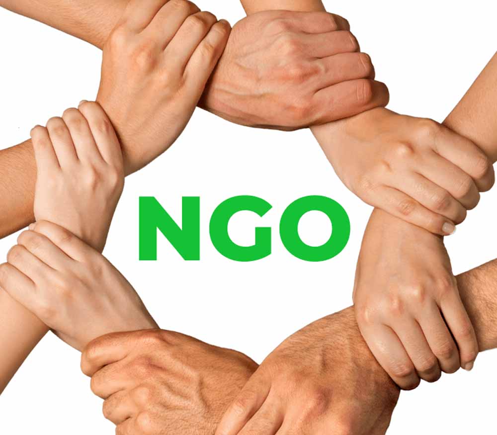 Ngo 01.jpg
