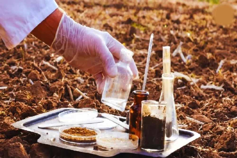 Rajasthan News 07 1.jpg