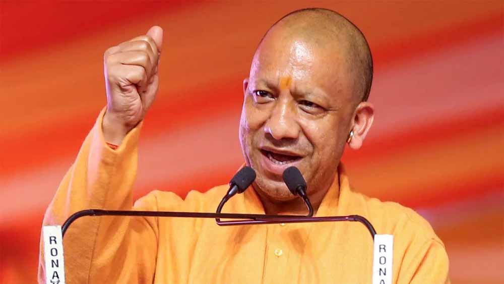 Yogi 01 1.jpg