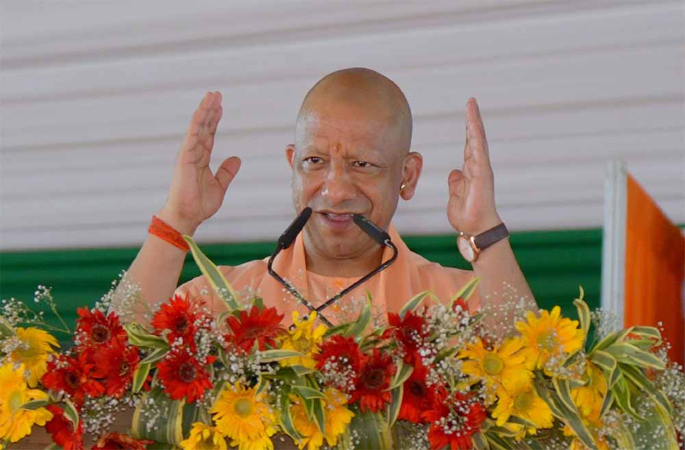 Yogi 01 14.jpg