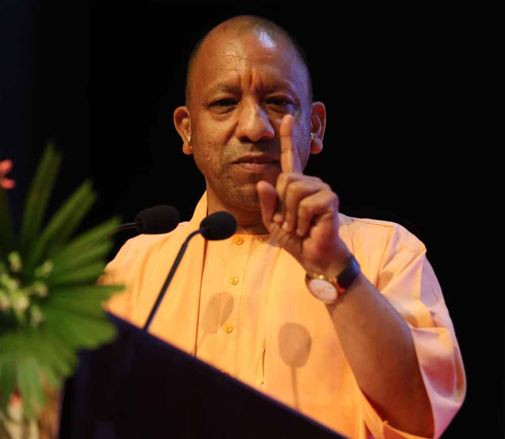 Yogi 08 1.jpg