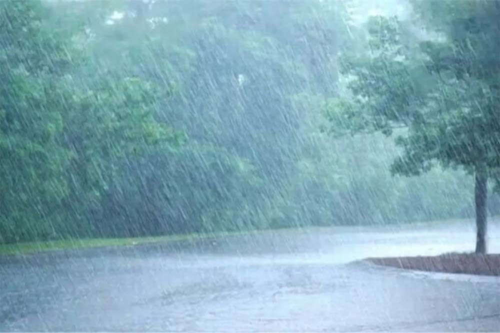 Barish1 1.jpg