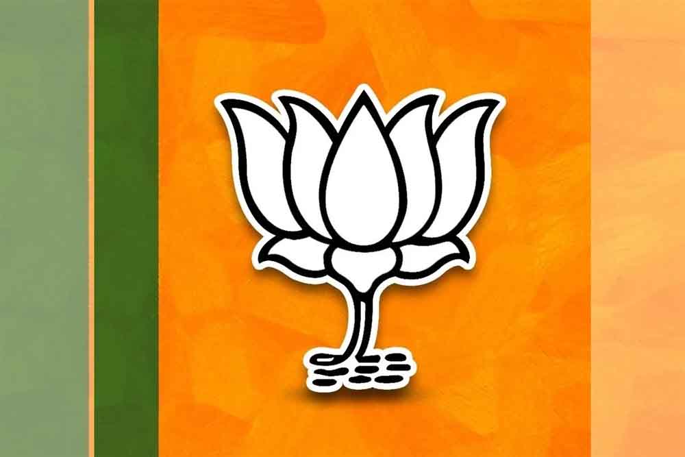Bjp 11.jpg