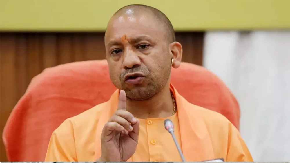 CM yOGI 01 6.jpg