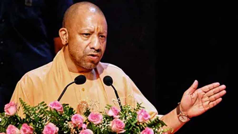 Yogi 13.jpg
