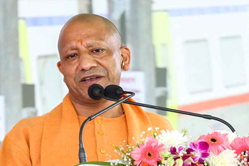 Yogi 2.jpg