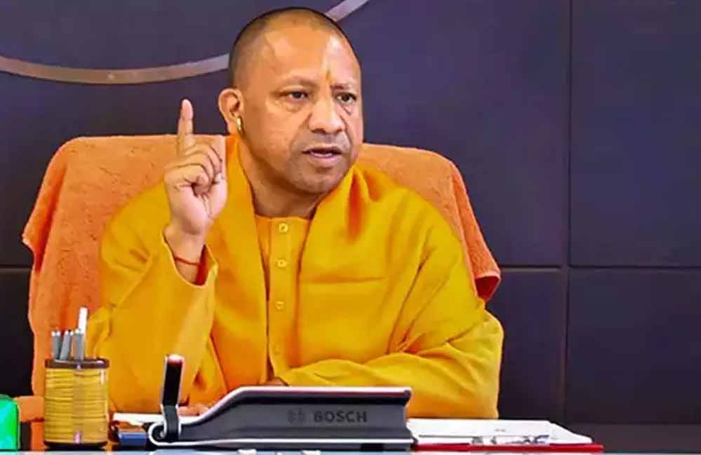 Yogi 60 1 5.jpg