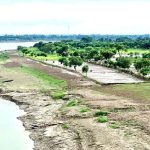 गंगा के किनारे 26 जिलों में ऑर्गेनिक क्लस्टर से बदल रही यूपी की तस्वीर