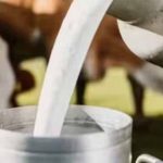 यूपी में पशुपालन को बढ़ाव,28 दिन में होगी गर्भ जांच, किसानों को मिलेगा बड़ा फायदा