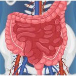 ज्यादा तीखा खाना पड़ सकता है भारी, पेट और पाचन पर डालता है असर