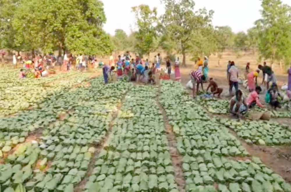 Chhattisgarh News 02 1 21.jpg