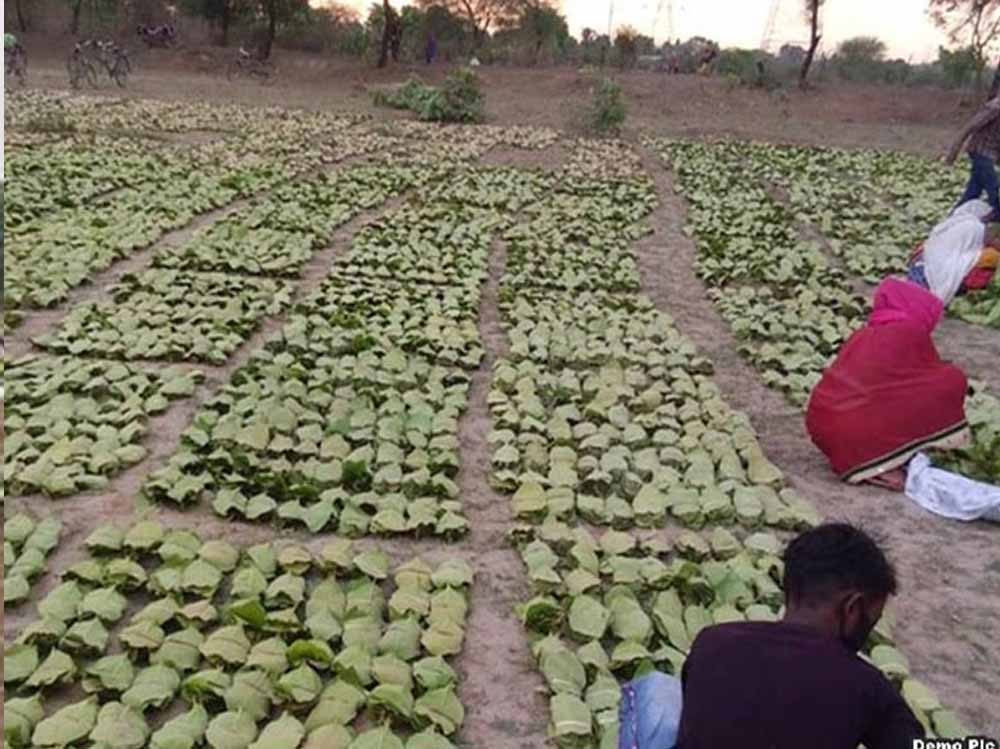 Chhattisgarh News 05 1 24.jpg