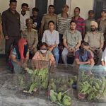 जगदलपुर में वन विभाग टीम पर हमला, तोतों की अवैध बिक्री पर कार्रवाई के दौरान हंगामा