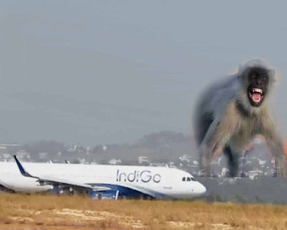 Chhattisgarh News 06 1 25.jpg