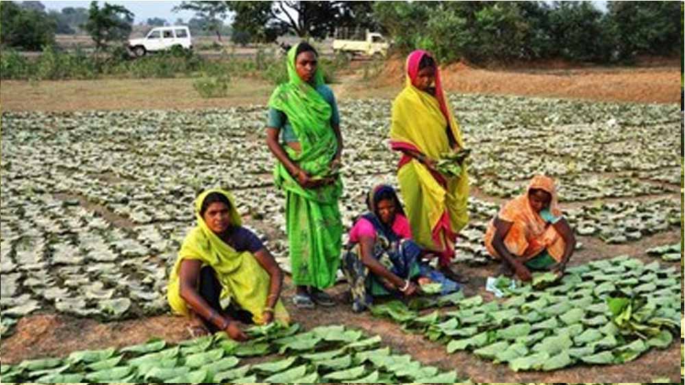 Chhattisgarh News 08 1 1.jpg