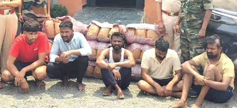 Chhattisgarh News 09 1 1.jpg