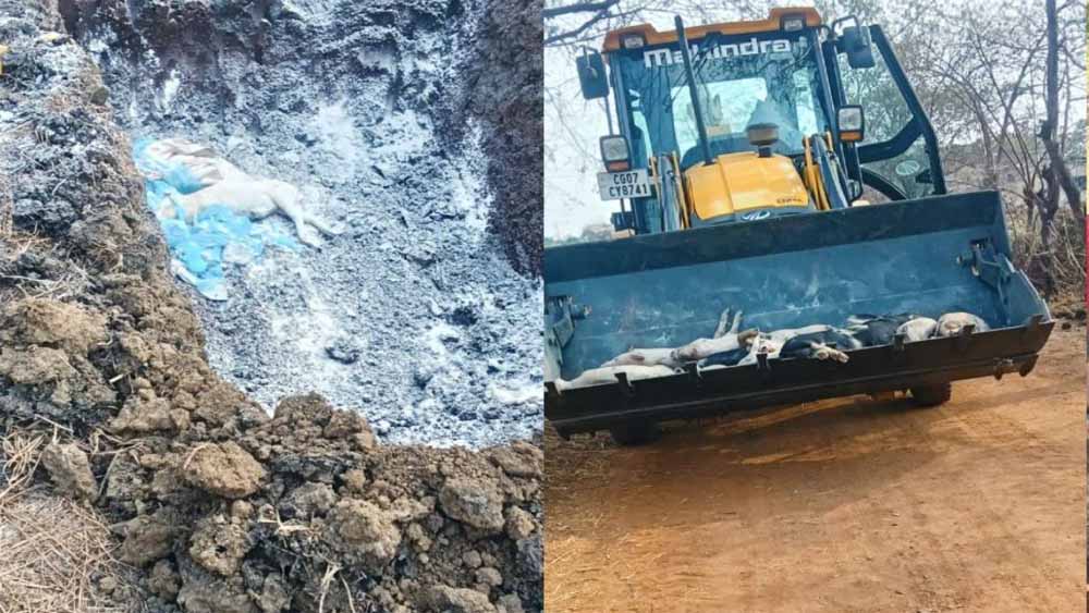 Chhattisgarh News 10 2 5.jpg