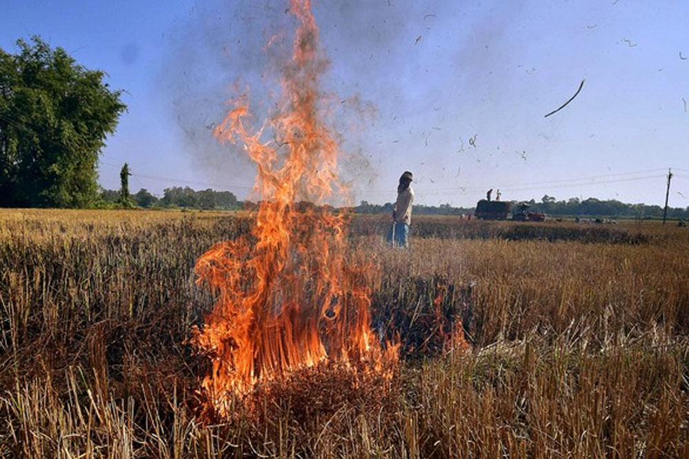 Praali fire77 3 16 1.jpg