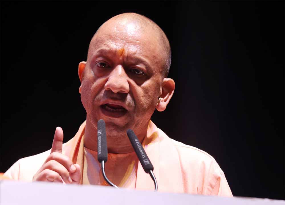Yogi.jpg