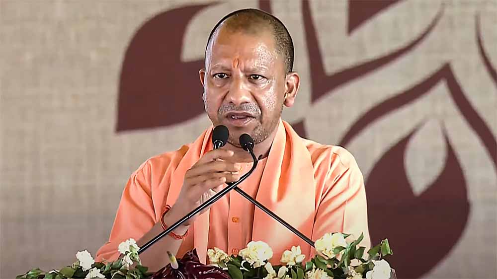 Yogi1 3.jpg