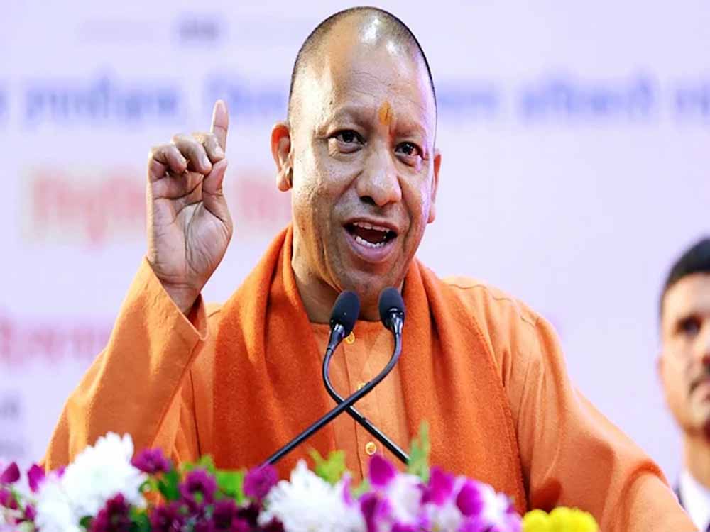 Yogi1.jpg