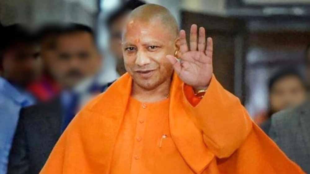 Yogi2 1.jpg