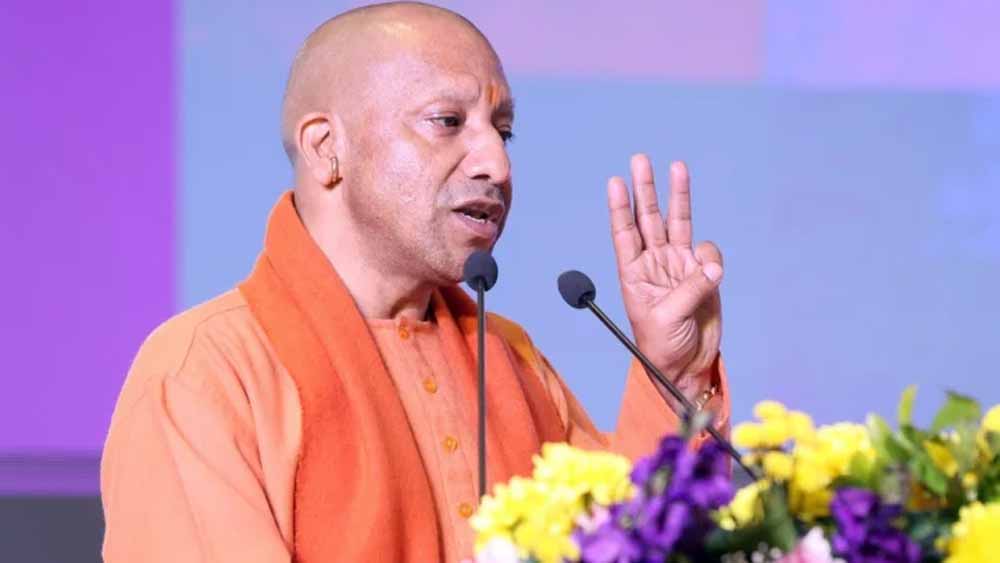 Yogi new.jpg