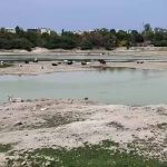 संजय झील में सैकड़ों मछलियों की मौत, पानी की आपूर्ति बाधित होने से बिगड़ा हालात