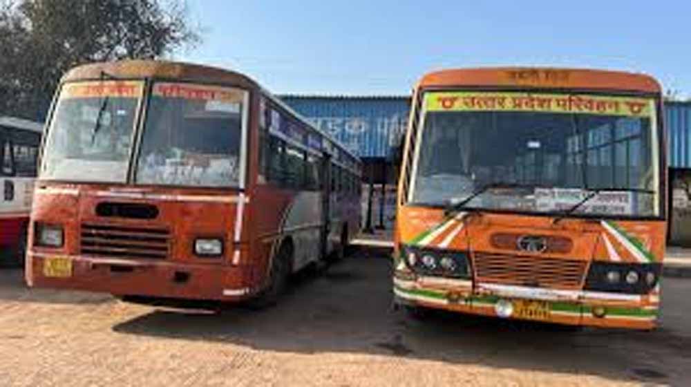 Bus 02.jpg