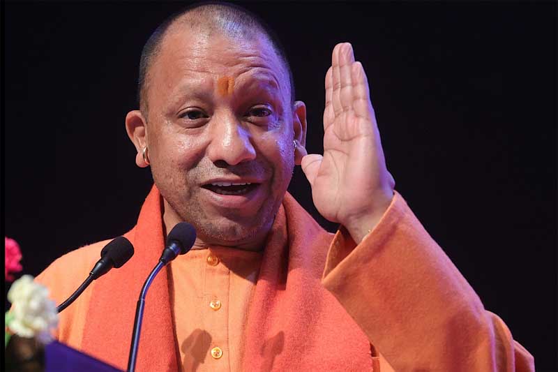 CM yogi5.jpg