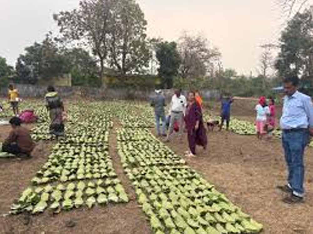 Chhattisgarh News 03 1 1.jpg