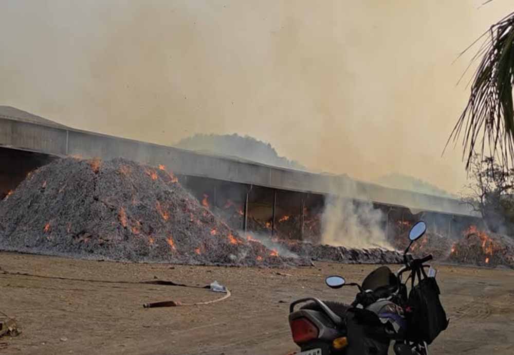 Chhattisgarh News 07 1 9.jpg