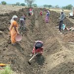 पुष्पराजगढ़में ‘जल गंगा संवर्धन अभियान’ से हो रहा है नहर सुदृढ़ीकरण