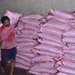 खरीफ में धान सहित दलहन-तिलहन फसलों में परम्परागत खाद के साथ वैकल्पिक खाद एवं नैनो यूरिया व डीएपी के उपयोग को दिया जा रहा बढ़ावा