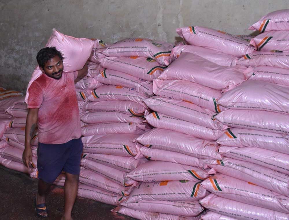 KHARIF 02.jpg