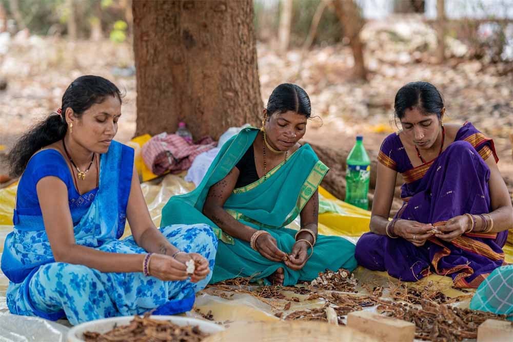 Mahila 02.jpg