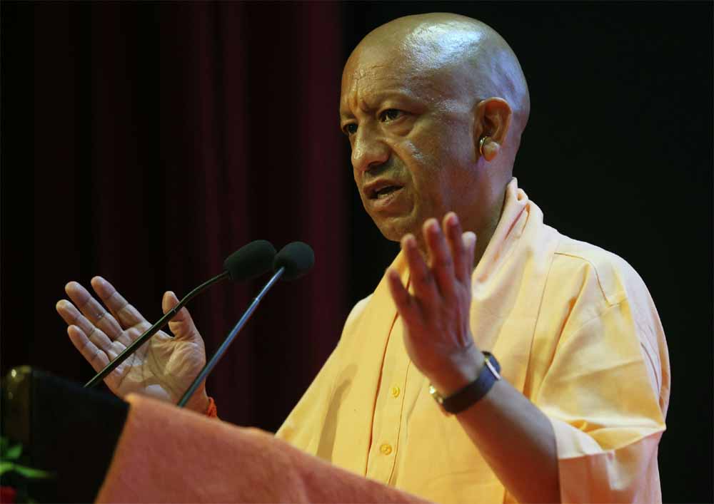 Yogi 15.jpg