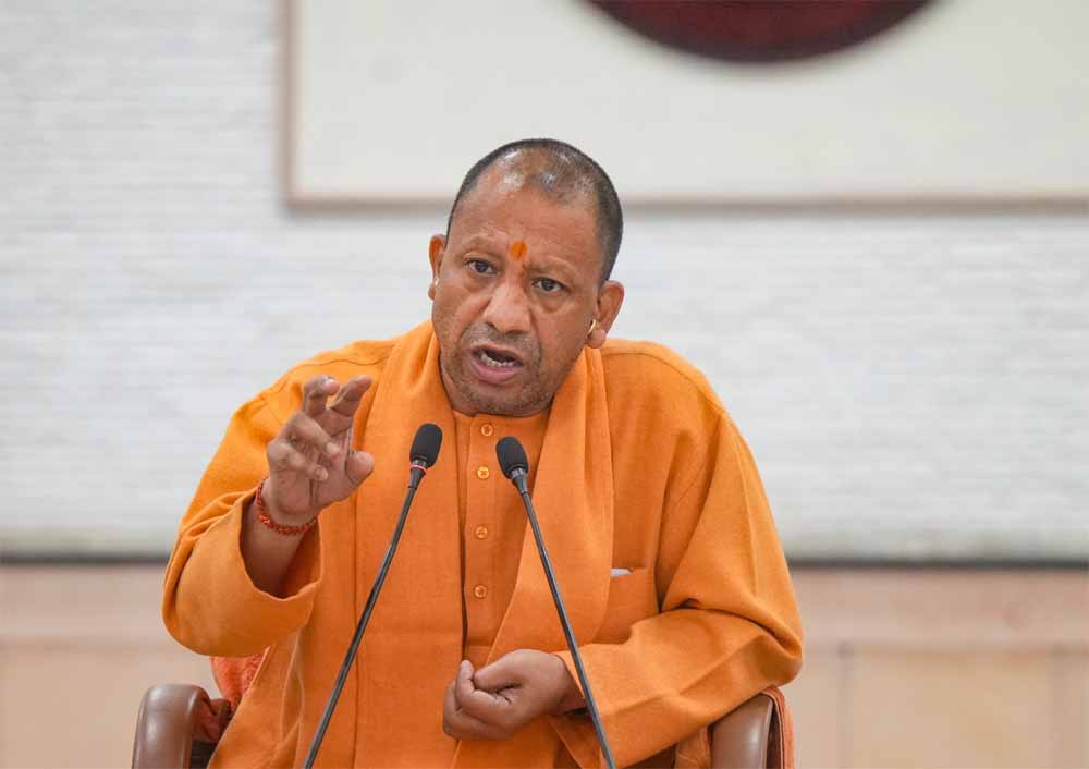 Yogi 6.jpg