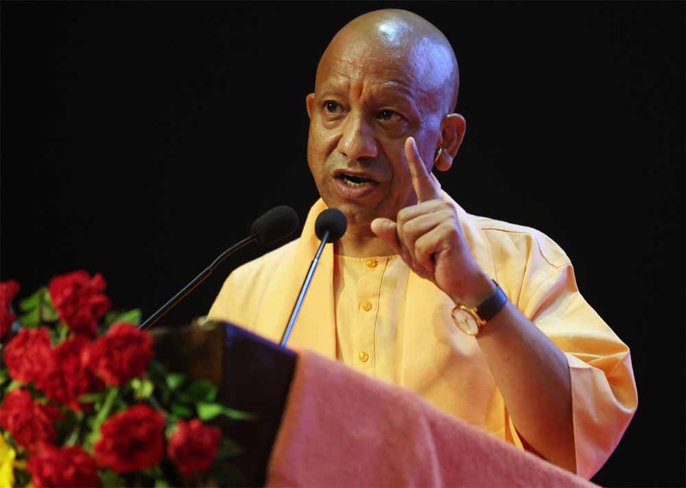 Yogi 02 17.jpg