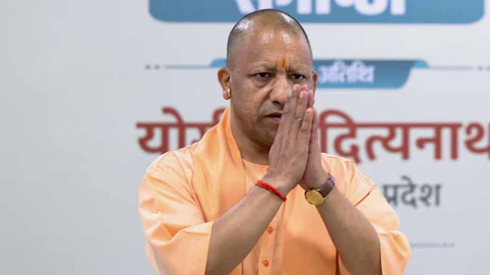 Yogi 02 19.jpg
