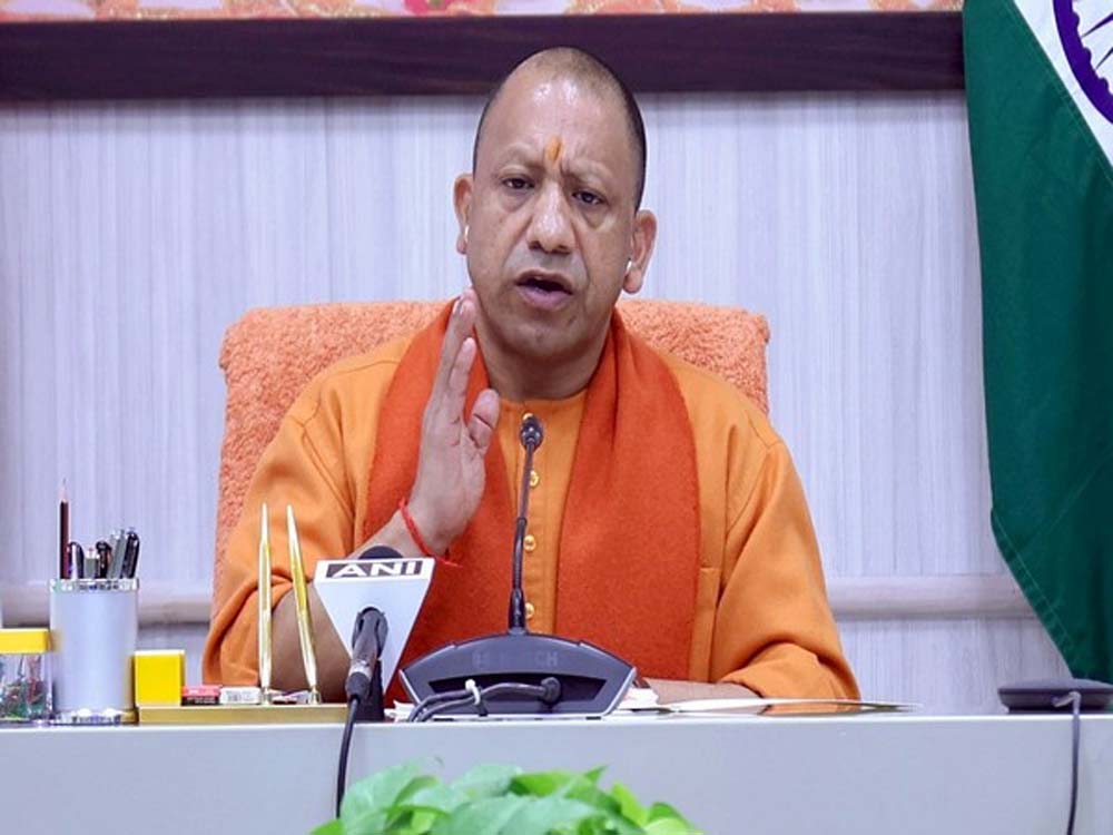 Yogi 02 3.jpg